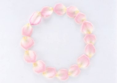 Beyaz arkaplanda pembe gül yaprakları