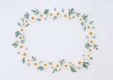 çiçek ve yaprakları çiçek arka plan