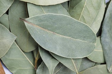 Bay yapraklarını kapatın.