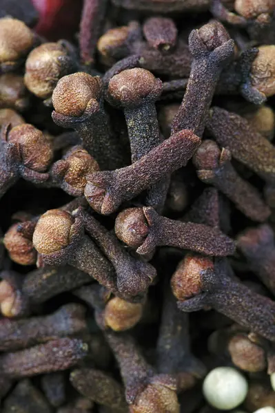 Close Pile Dried Pepper — Stock Photo, Image