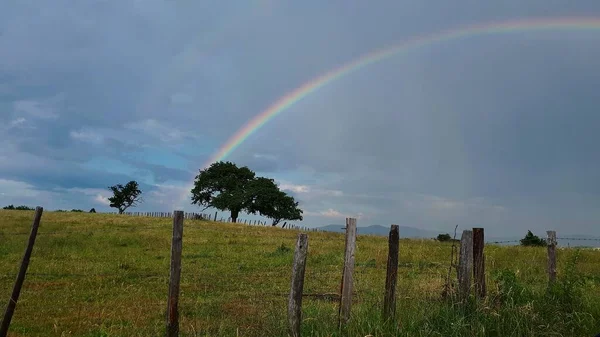Rainbow in the french field.
