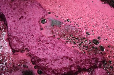 moss of grapes during the harvest