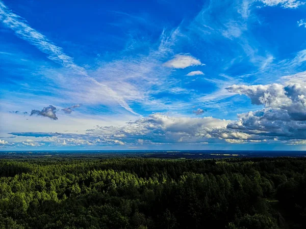 Estonian skyline in the summer