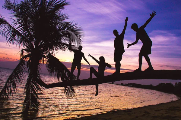 Silhouette Group Friends Standing Balance Reclining Palm Tree Beach Amazing — Stok fotoğraf