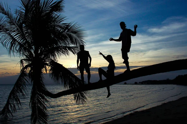 Silhouette of three friends standing on reclining palm tree on the beach at amazing sunset in the island of Koh Pha Ngan, Thailand