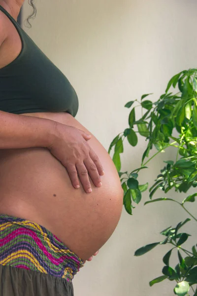 Pregnant woman with hands on belly. woman standing in room at house plant