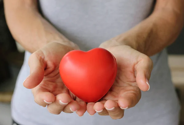 Czerwone Serce Rękach Kobiety Dawanie Życia Oddawanie Krwi Fundacje Charytatywne — Zdjęcie stockowe