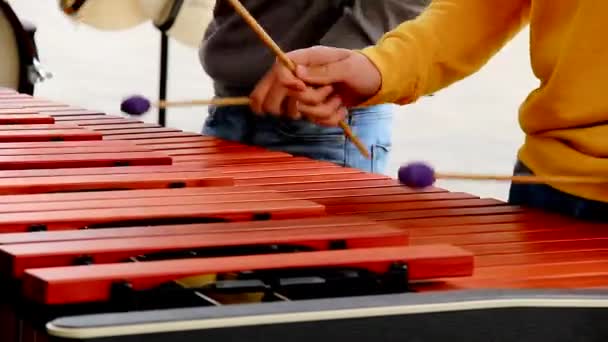 보라색볼 몰레를 가지고 실로폰을 연주하는 아이가 있습니다 아이들 타악기로 콘서트를 — 비디오