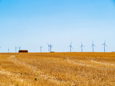 Tarlada rüzgar türbini