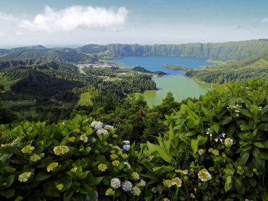 Güzel göl manzarası
