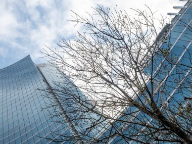 office building with blue sky and trees in Milan