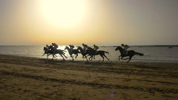 Традиційні Перегони Коней Пляжі Санлукар Баррамеда Кадіс Іспанія — стокове фото