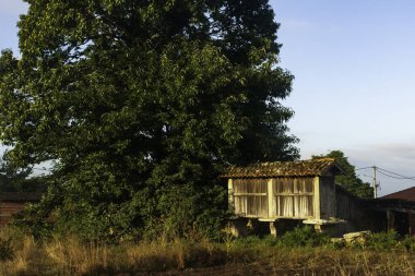 Galiçya 'nın St. James Yolu üzerindeki manzaraları