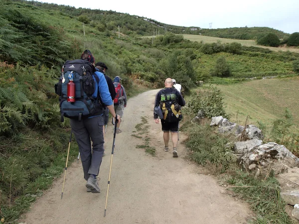 Seyyahlar Galiçya 'dan geçerken Camino de Santiago boyunca yürürler.