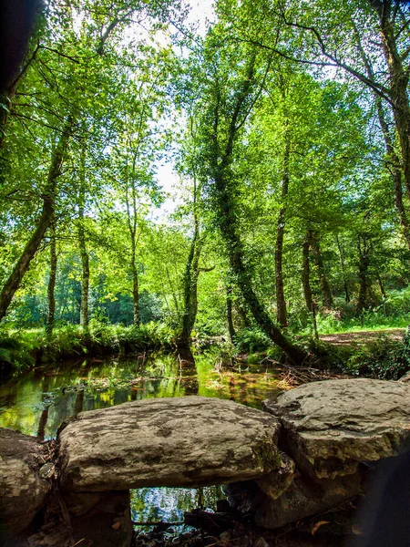 stock image green landscapes on the Camino de Santiago as it passes through Galicia