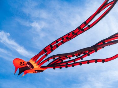 Kosta Brava 'nın mavi gökyüzünde büyük renkli bir kuyruklu yıldız. 