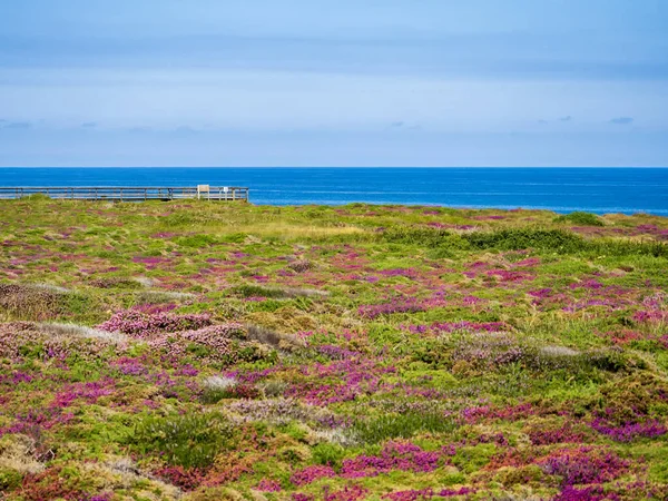 Galiçya 'nın Ribadeo kentindeki kırsal manzara