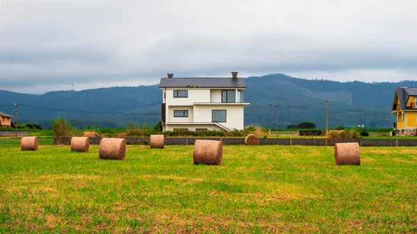 Straw Bales Galician Field — Stock Photo, Image