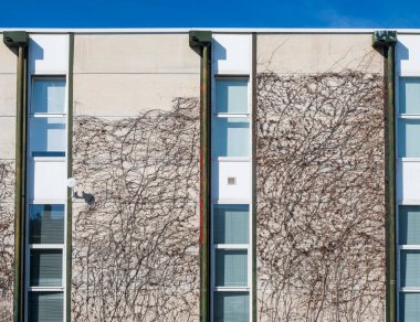 Bir apartmanın ön cephesinde modern bir ev.