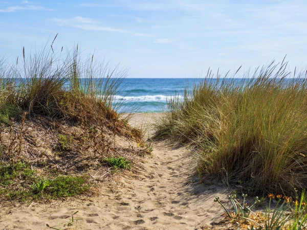 Piękna Plaża Błękitnym Niebem — Zdjęcie stockowe