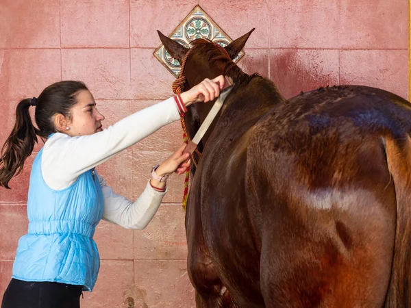 Giovane Cavaliere Che Lavora Con Suo Cavallo Nella Stalla — Foto Stock