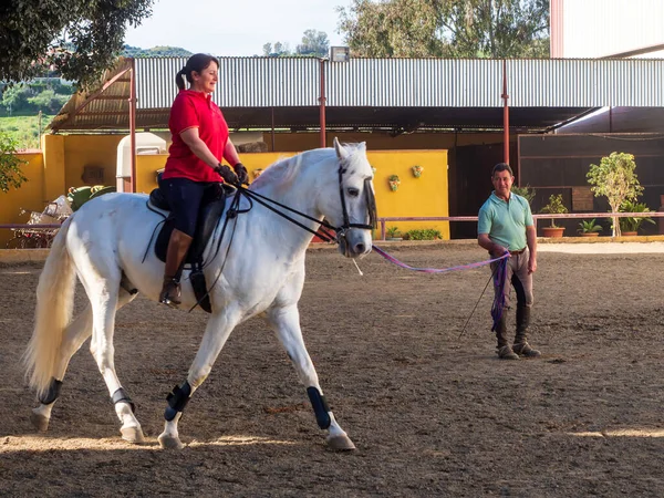 Donna Cavallo Che Riceve Lezioni Equitazione — Foto Stock