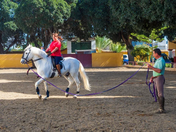 Mujer Caballo Recibiendo Clases Equitación — Foto de Stock