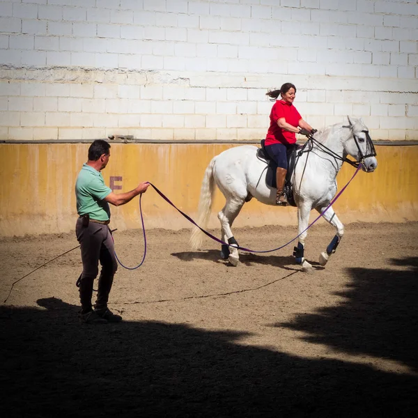 Woman Horseback Receiving Riding Lessons — Stock Photo, Image