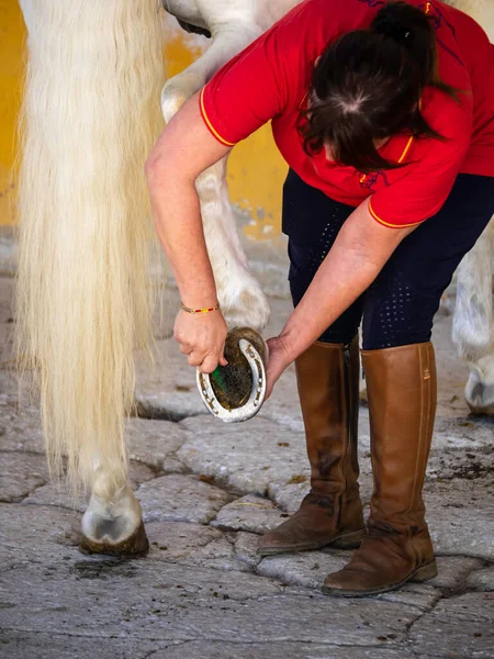 A woman cleans the shoes of a horse in the stable.