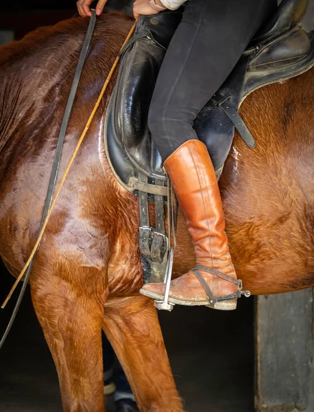 Giovane Cavaliere Che Lavora Con Suo Cavallo Nella Stalla — Foto Stock