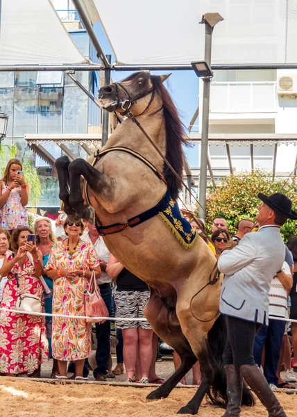 Fuengirola 马拉加 西班牙 2022年9月22日在Fuengirola庆祝马日期间 骑师Jose Gonzalez参加了一个展览 Mlaga — 图库照片