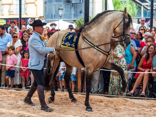 Fuengirola Málaga Espanha 2022 Instrutor Equitação Jose Gonzalez Uma Exposição — Fotografia de Stock