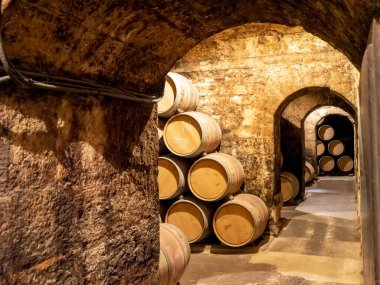 İspanya, La Rioja 'daki Marques de Riscal mahzenlerinde şarap fıçıları
