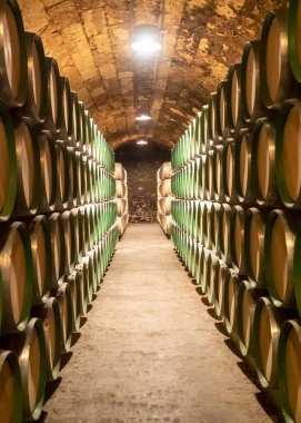 İspanya, La Rioja 'daki Marques de Riscal mahzenlerinde şarap fıçıları