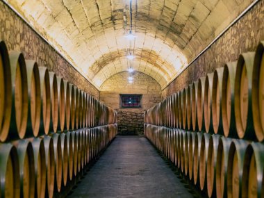 İspanya, La Rioja 'daki Marques de Riscal mahzenlerinde şarap fıçıları