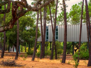 İspanya 'nın Caceres kentindeki El Anillo spor kompleksi binası