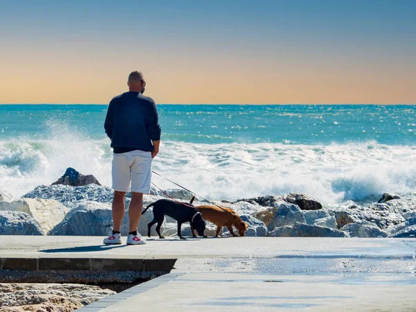 Νεαρός Άνδρας Και Σκύλος Περπατούν Μια Παραλία — Φωτογραφία Αρχείου