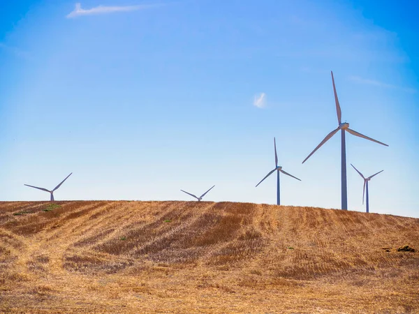 stock image wind turbines, alternative energy source. 