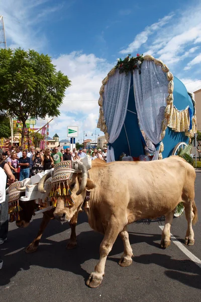 Fuengirola Mlaga Spain 2018 庆祝Fuengirola朝圣期间的马和牛 — 图库照片