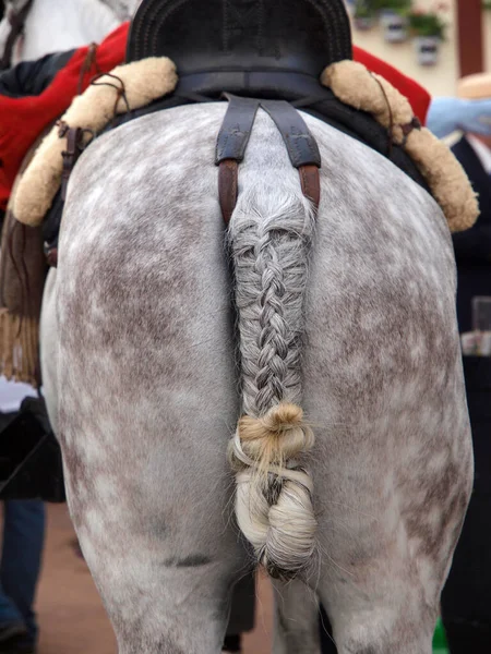 Ponytail Fuengirola Fair — Stock Photo, Image