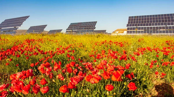 Painéis Solares Plantas Verdes — Fotografia de Stock