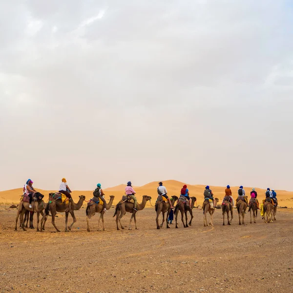 Merzouga Maroc Septembre 2021 Camel Caravane Dromadaire Avec Des Touristes — Photo