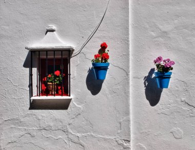 Bahçedeki güzel çiçekler