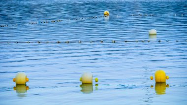Arka planda güzel bir deniz manzarası