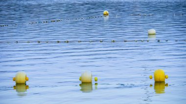 Güzel göl manzarası