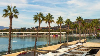 Palmiye ağaçları ve suda bir teknesi olan bir sahil.