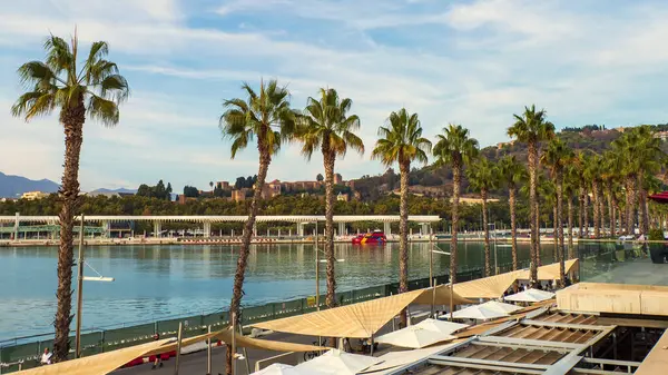 Palmiye ağaçları ve suda bir teknesi olan bir sahil.