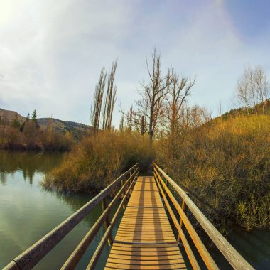 Arkasında ağaçlar olan bir nehir üzerinde tahta bir köprü.