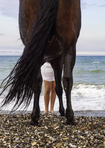 Sahilde atın yanında duran bir kadın.