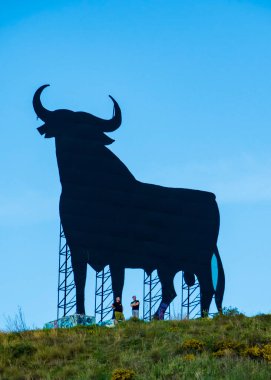 İspanya 'da sancak boğası